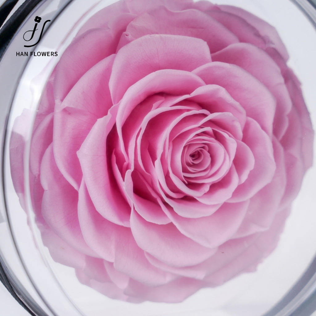Perfume Bottle Preserved Roses
