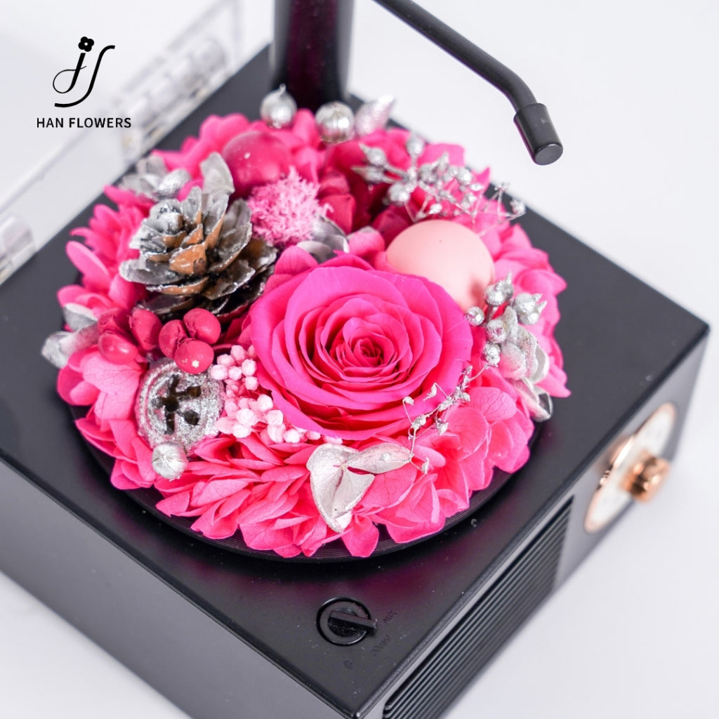 Gramophone Music Box