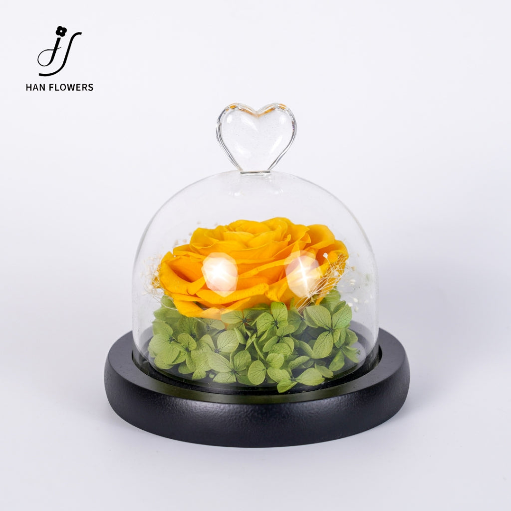 Single Preserved Rose in Glass Dome