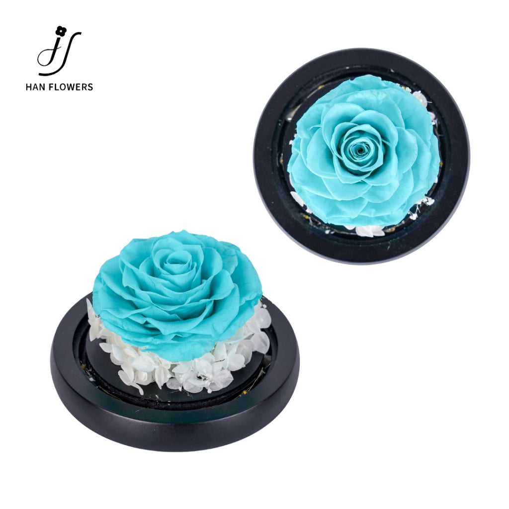 Single Preserved Rose in Glass Dome