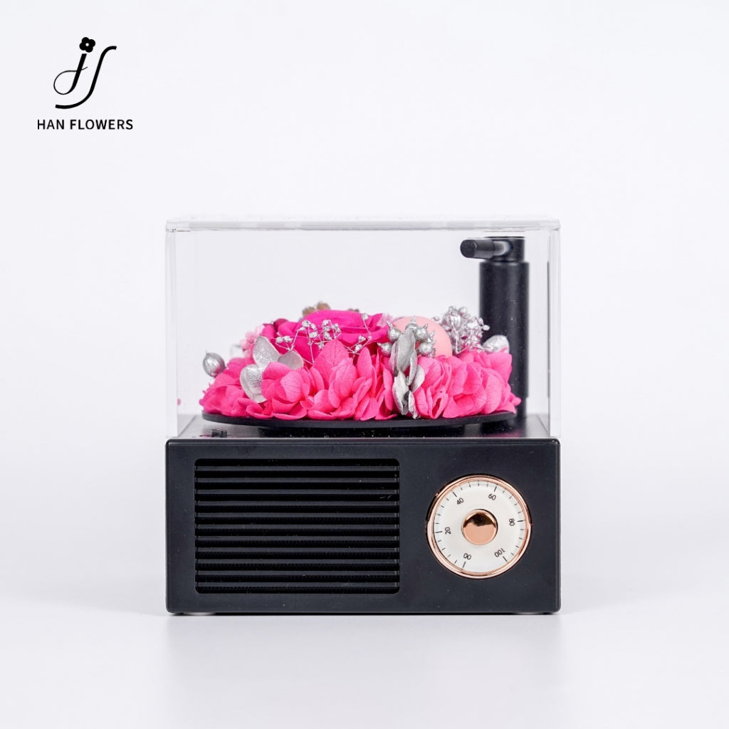 Gramophone Music Box