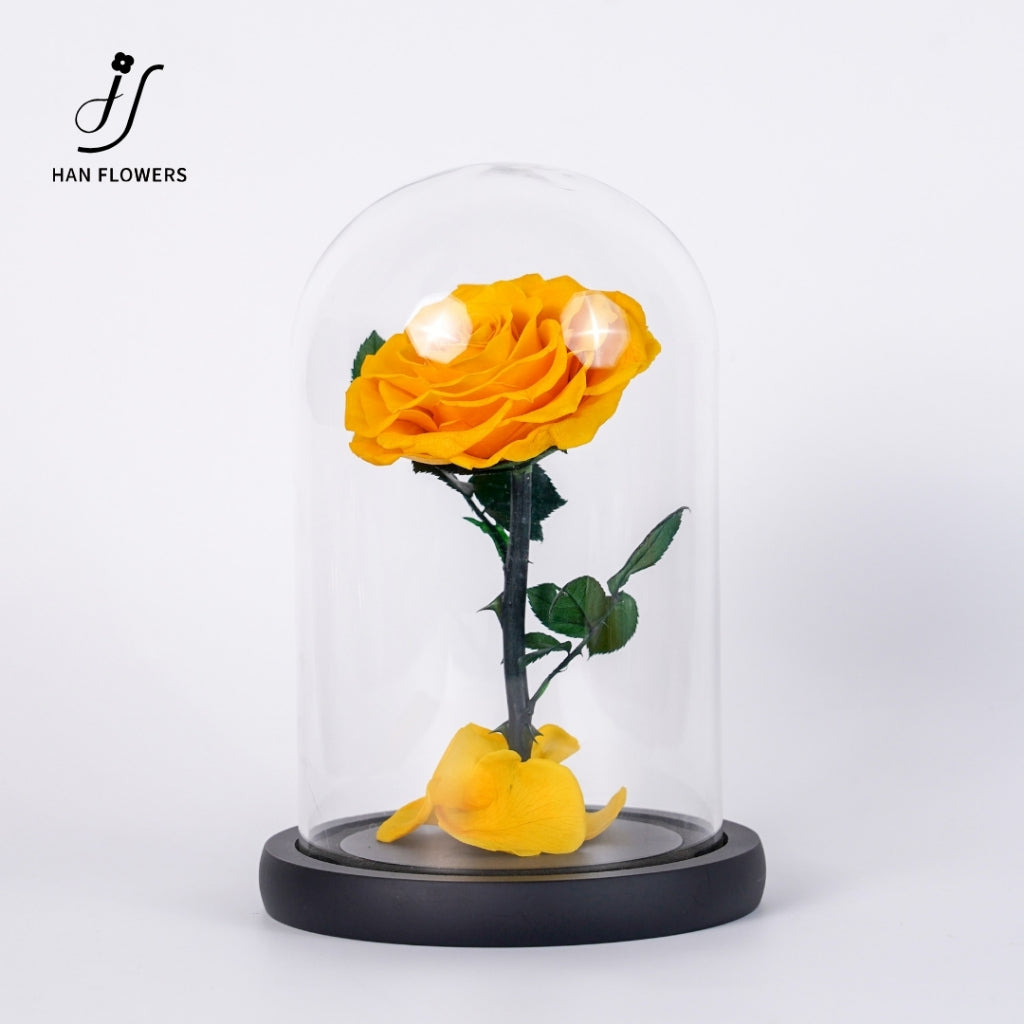 Little Prince Preserved Rose