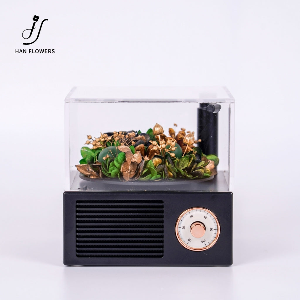 Gramophone Music Box