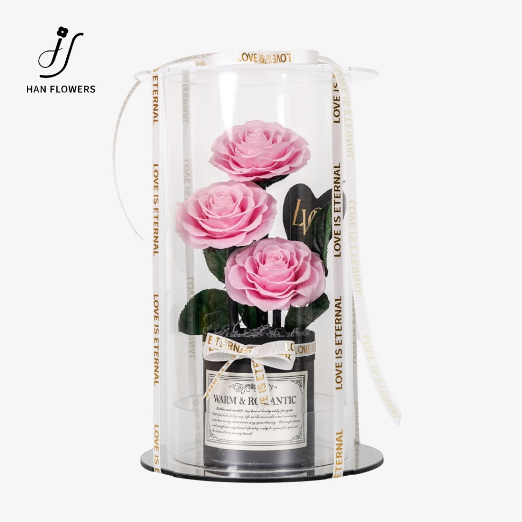 Grand Prince Preserved Roses