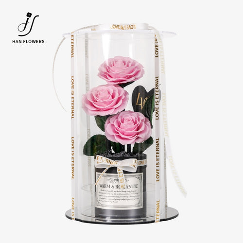 Crimson Preserved Roses