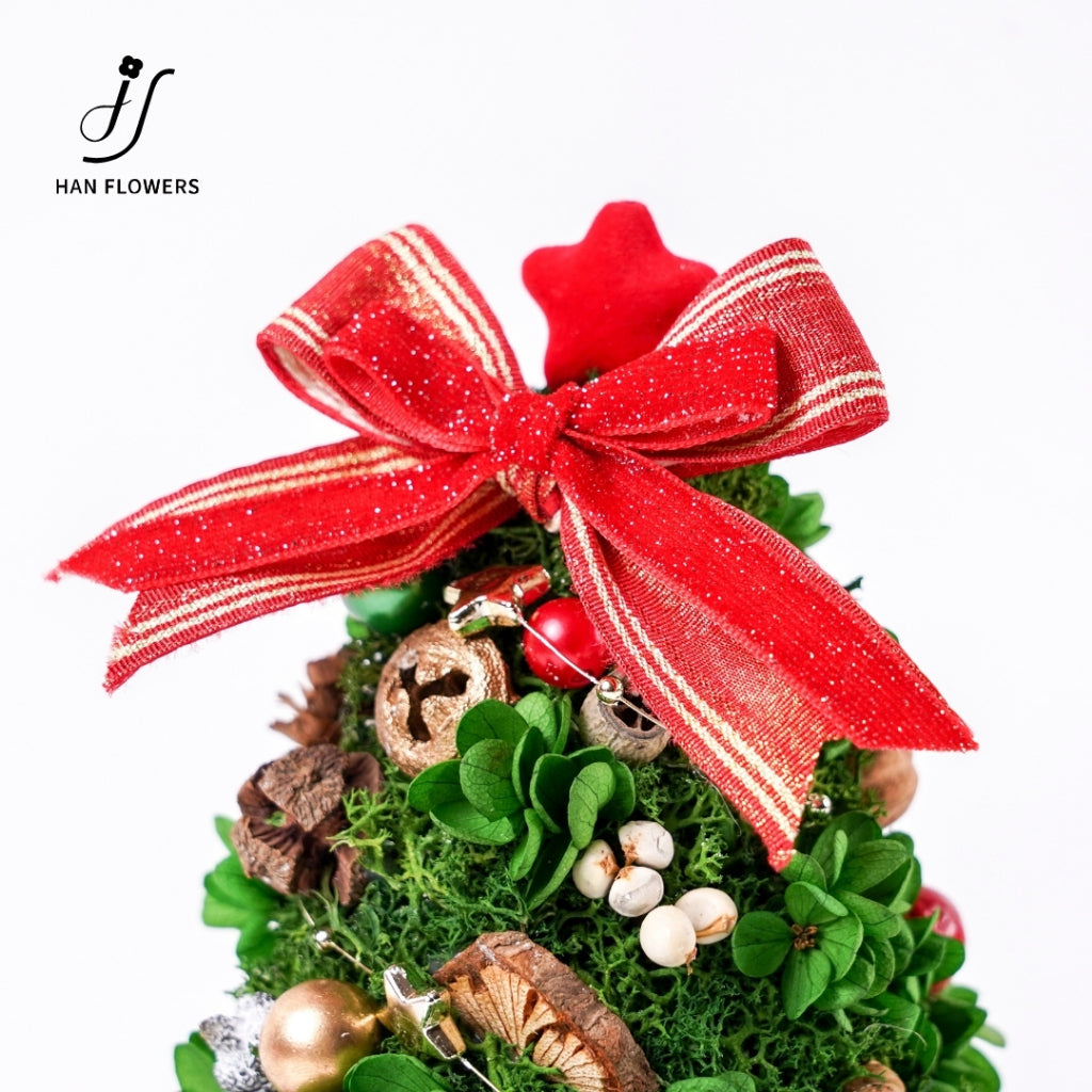 Classic Preserved Christmas Tree