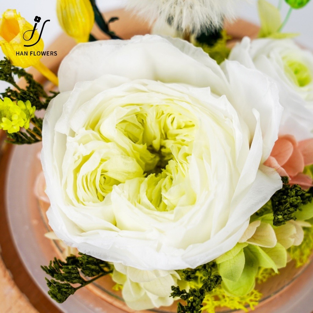 Preserved Flower Bluetooth Speaker Alarm Clock Decoration Singapore,Multifunction Gift Home Decoration for him/her