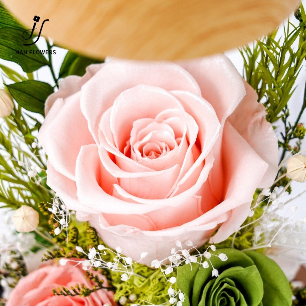 Rosy Haven with Led