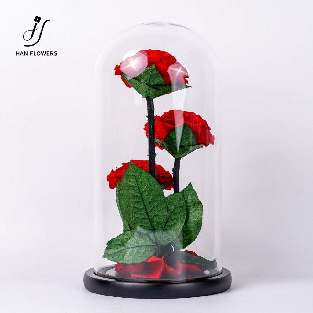 Grand Prince Preserved Roses