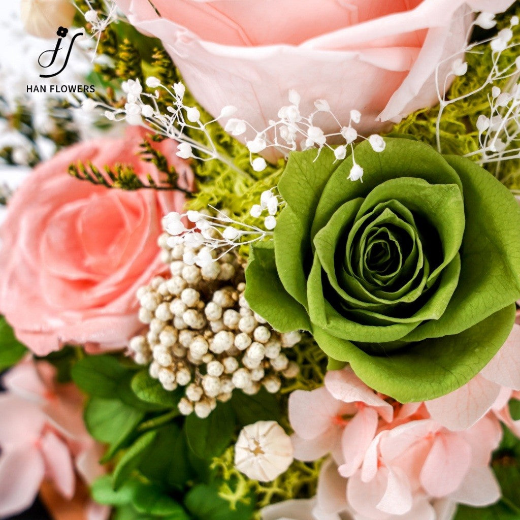 Rosy Haven with Led