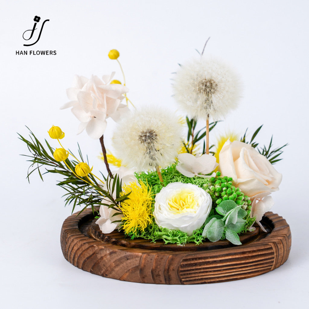 Velvet Glow Preserved Dandelion Flower