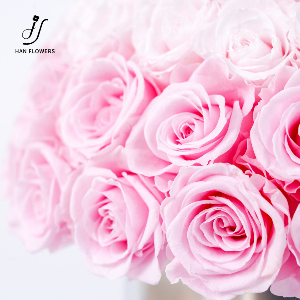Misty Pink White Preserved Flower Bucket