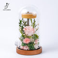 Rosy Haven with Led