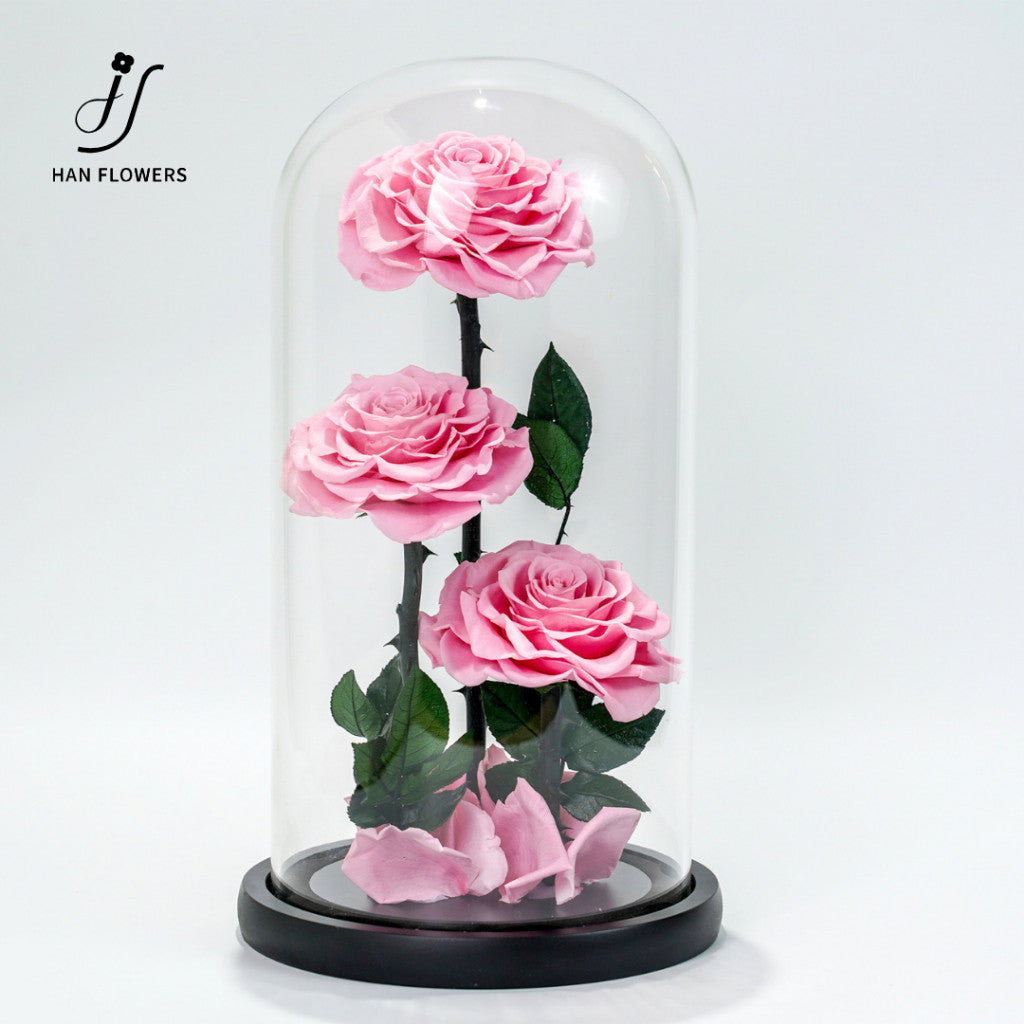 Grand Prince Preserved Roses