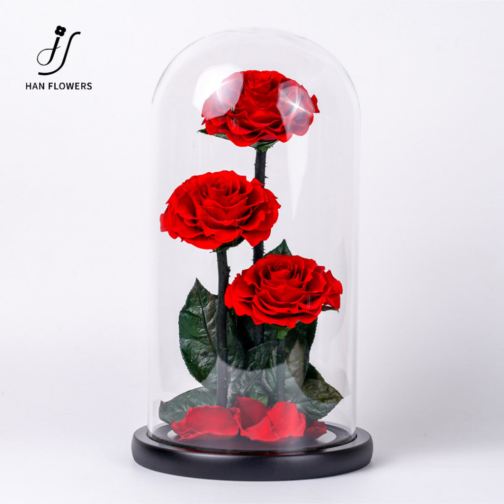 Grand Prince Preserved Roses
