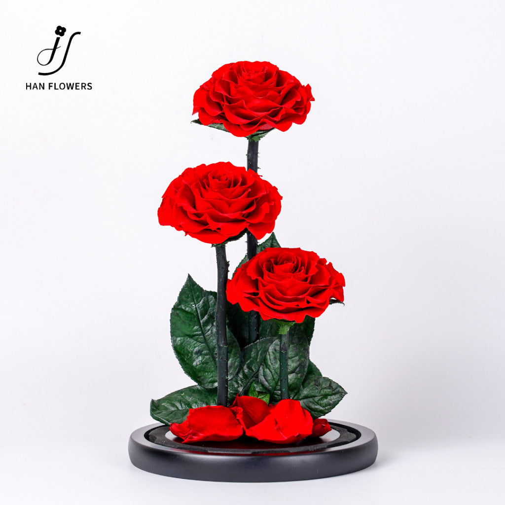 Grand Prince Preserved Roses
