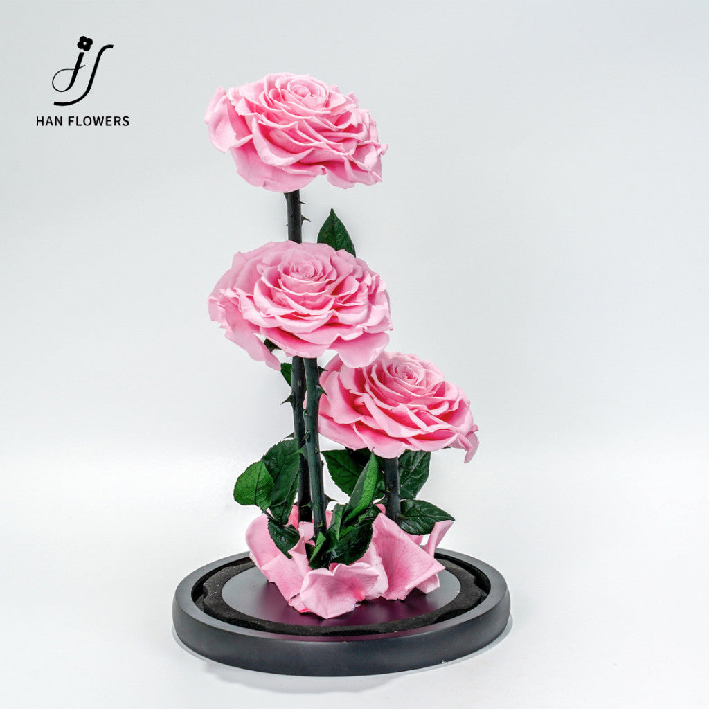 Grand Prince Preserved Roses