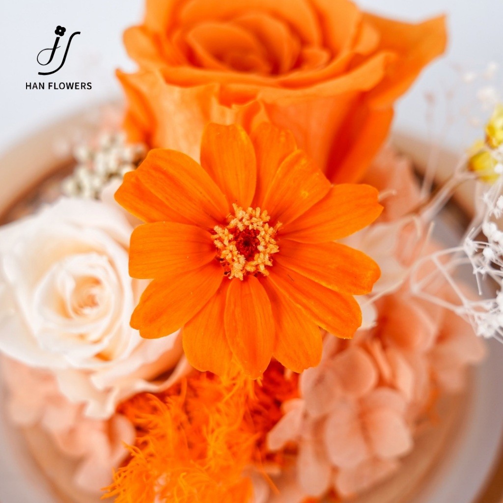 Preserved Flower Bluetooth Speaker Alarm Clock Decoration Singapore,Multifunction Gift Home Decoration for him/her
