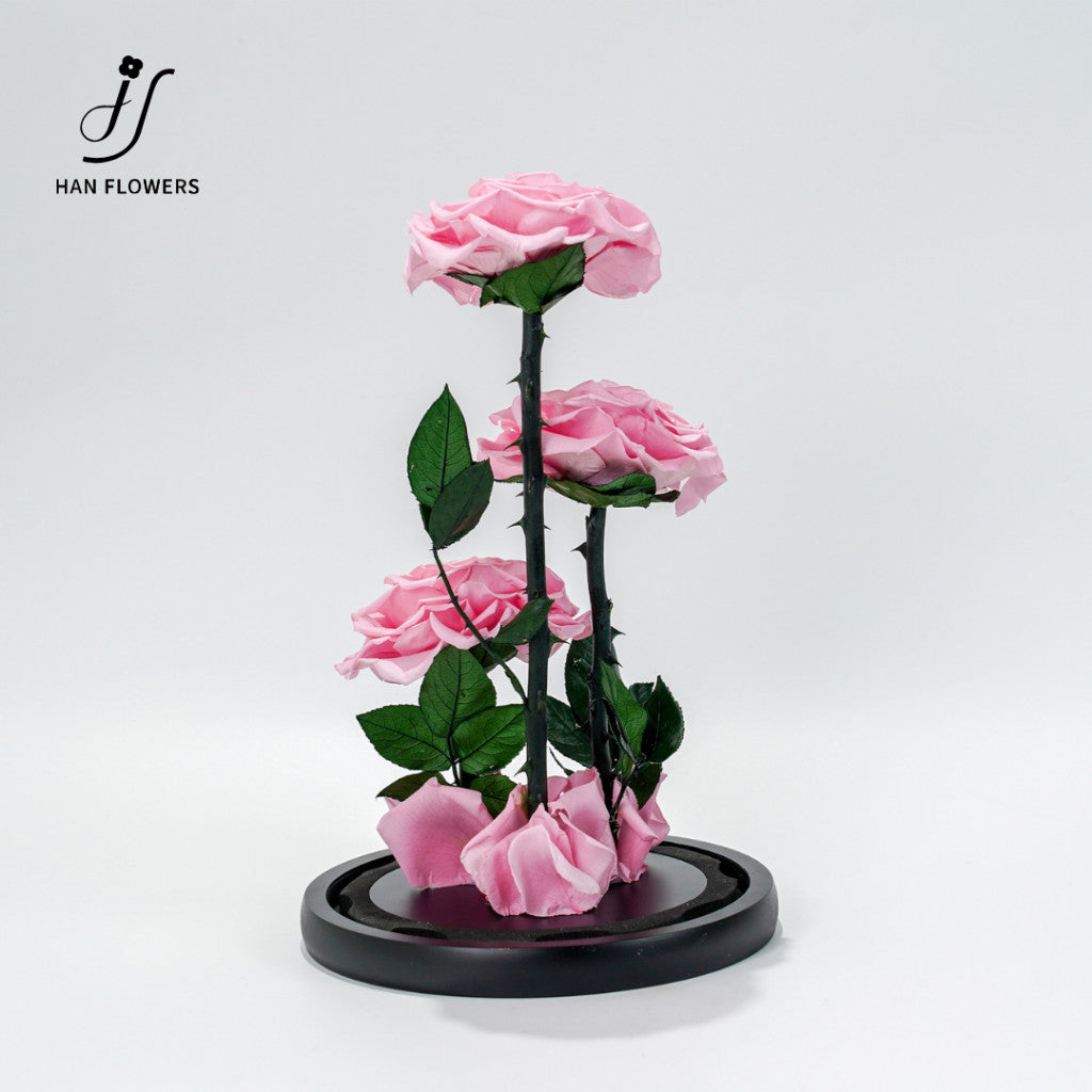 Grand Prince Preserved Roses