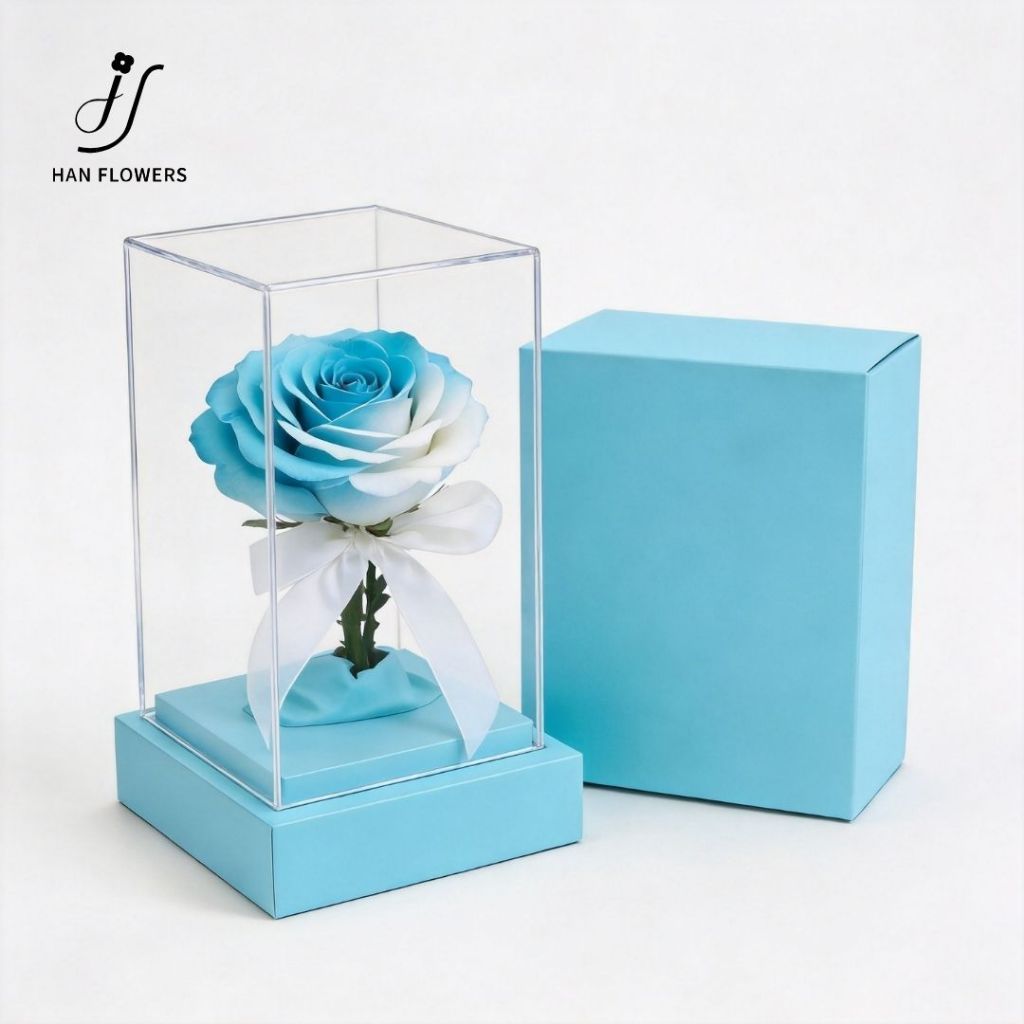 Gemini Gradient Preserved Rose