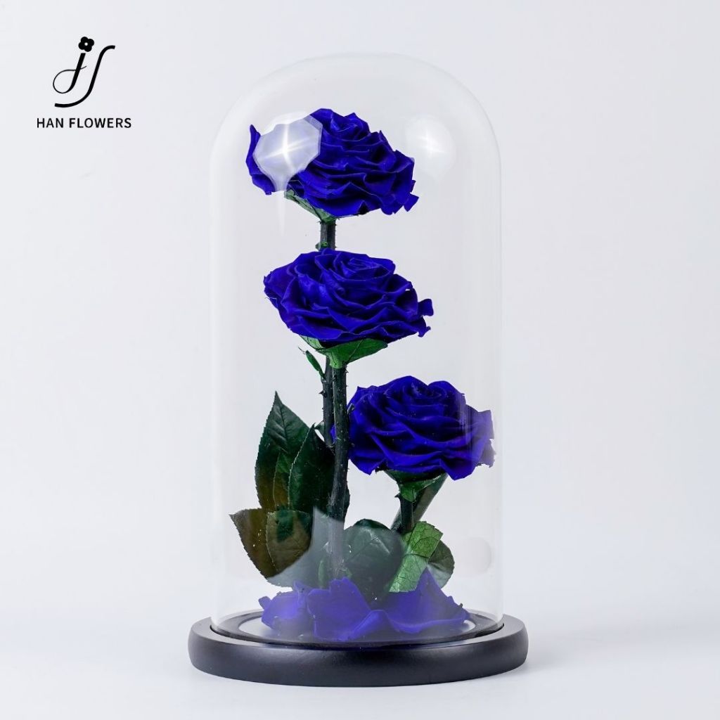 Grand Prince Preserved Roses