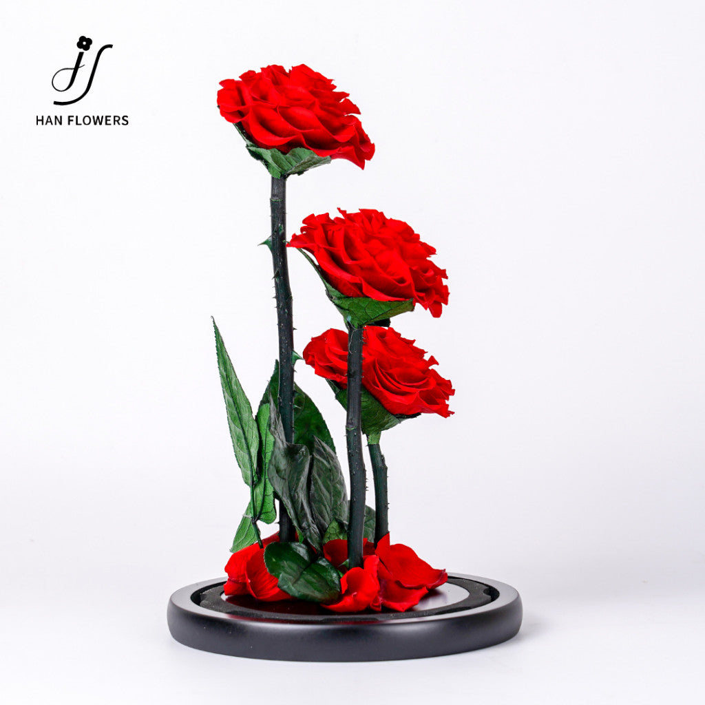 Grand Prince Preserved Roses