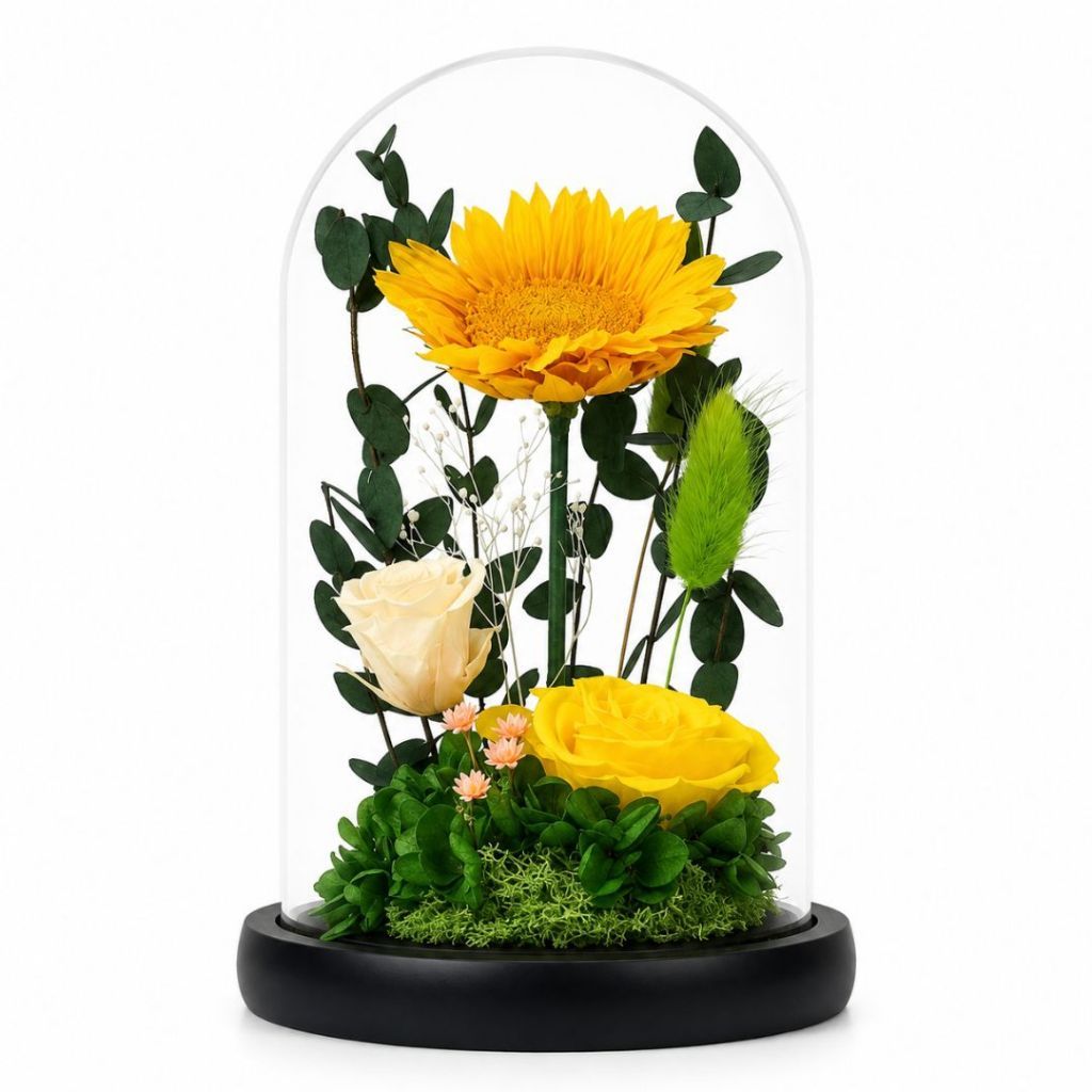 Preserved Sunflower Floral Dome