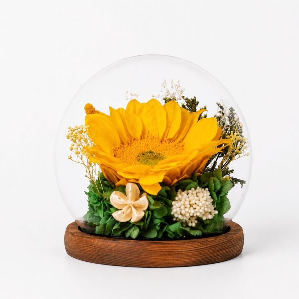 Preserved Sunflower Floral Dome