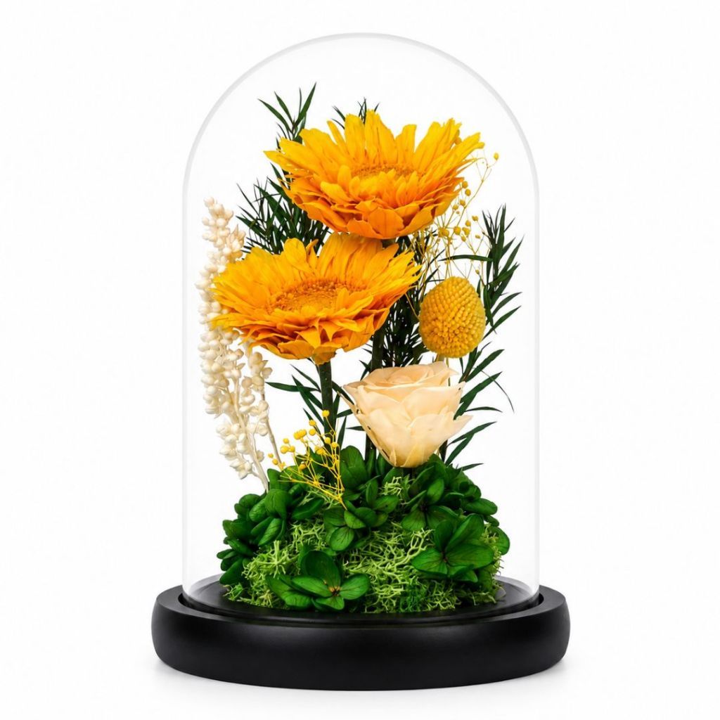Preserved Sunflower Floral Dome