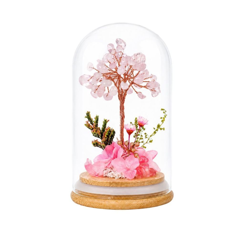 Crystal Money Tree Preserved Flower Dome