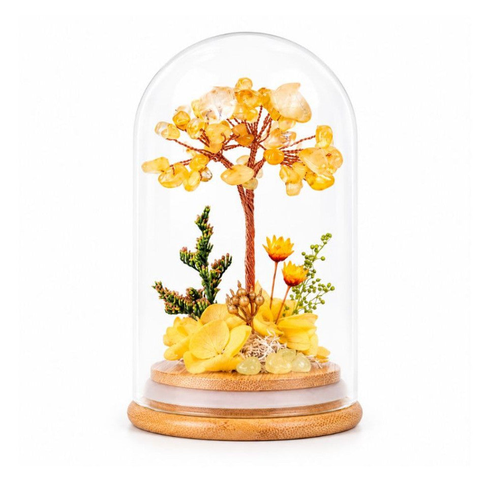 Crystal Money Tree Preserved Flower Dome