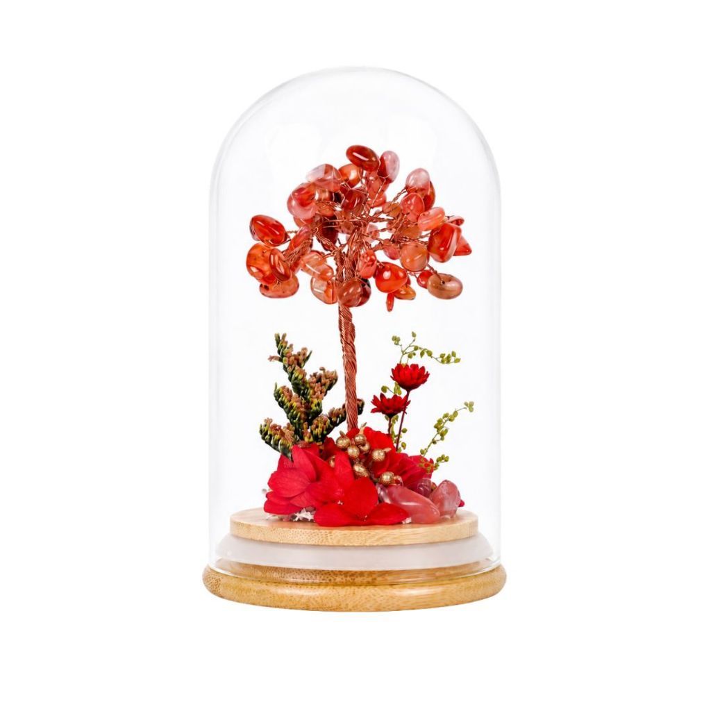Crystal Money Tree Preserved Flower Dome