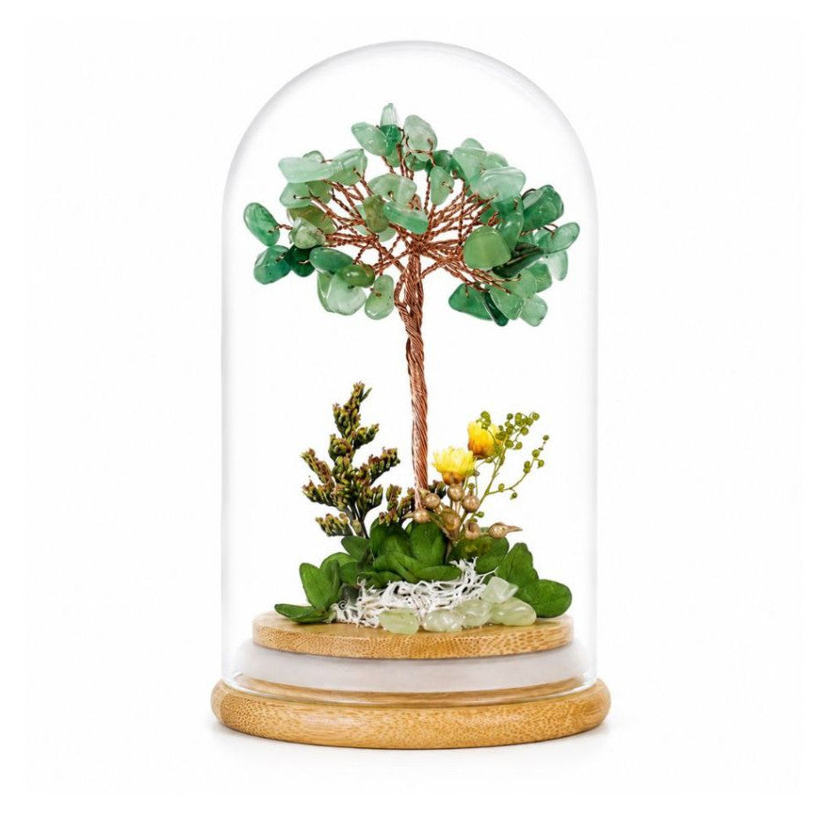 Crystal Money Tree Preserved Flower Dome