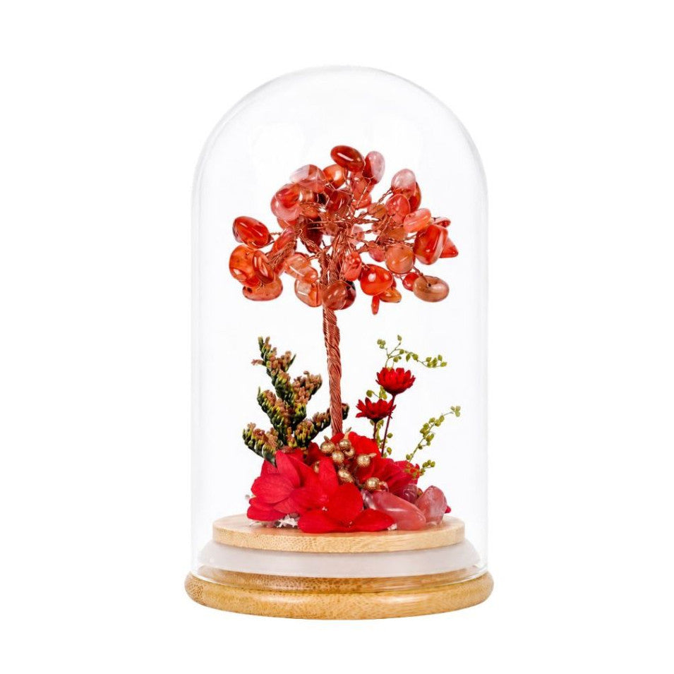 Crystal Money Tree Preserved Flower Dome