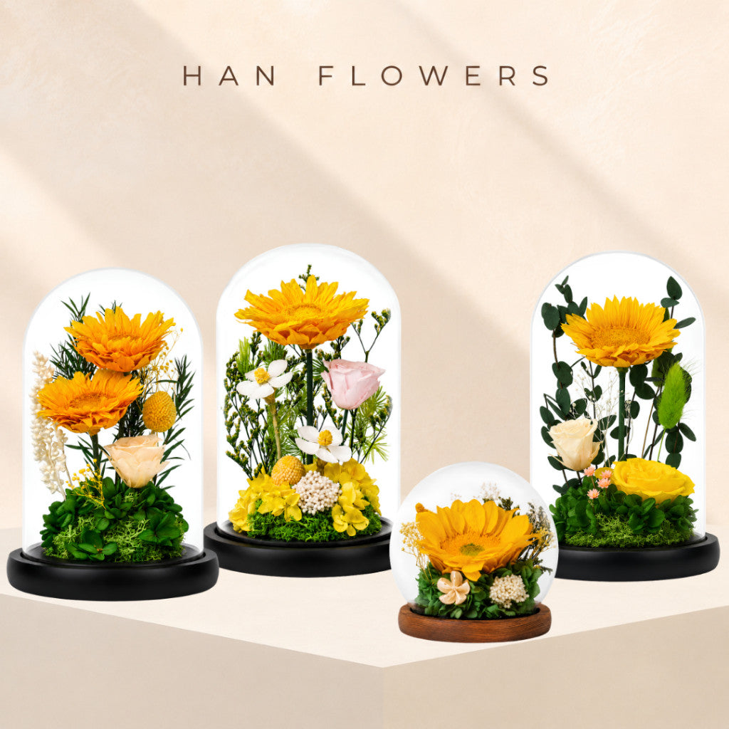 Preserved Sunflower Floral Dome