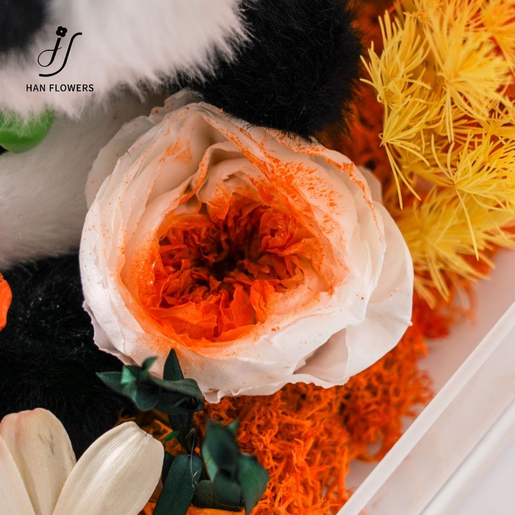 Cute Fluffy Panda DunDun (Orange)