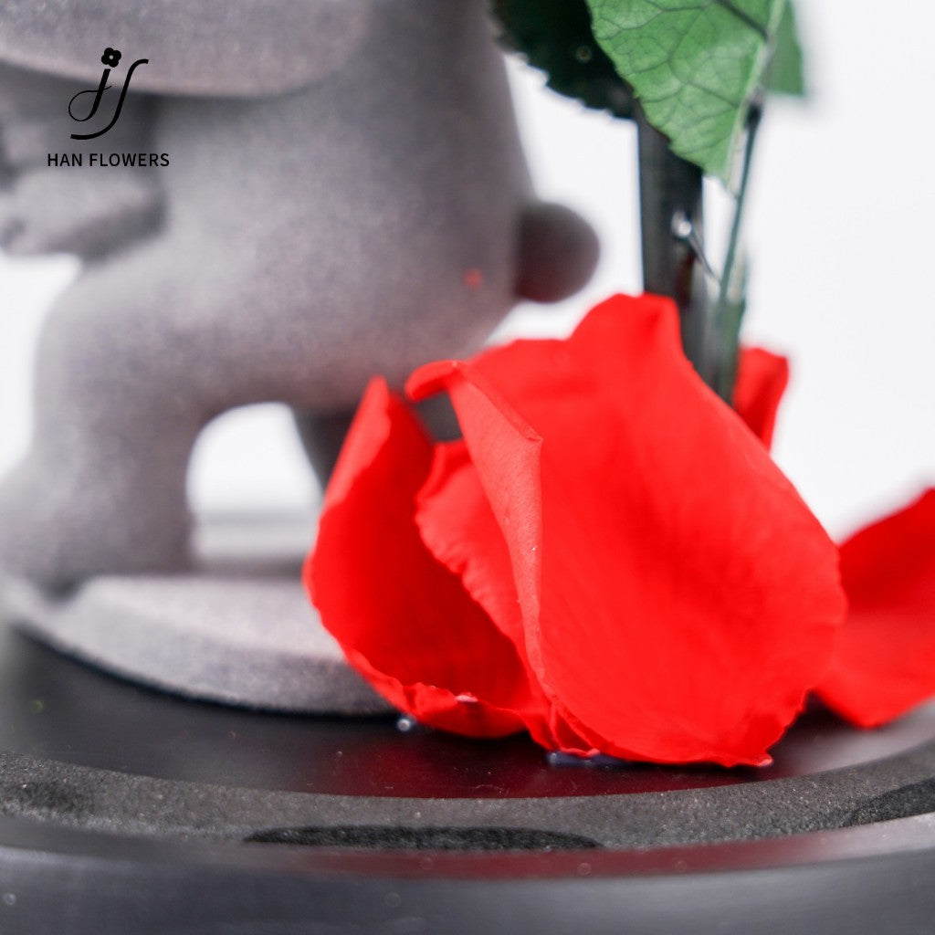 Preserved Rose Flower Bear in Glass Dome