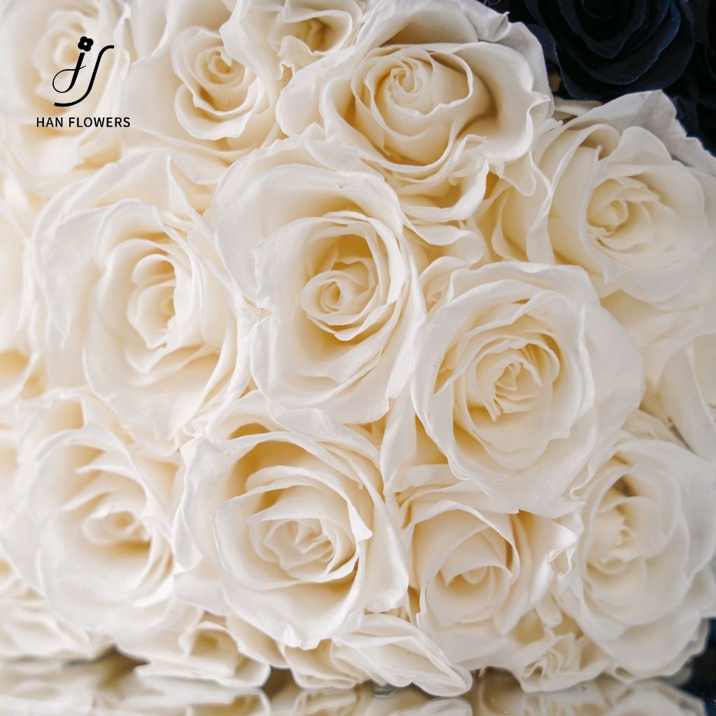 Preserved Roses Panda (Black & White)