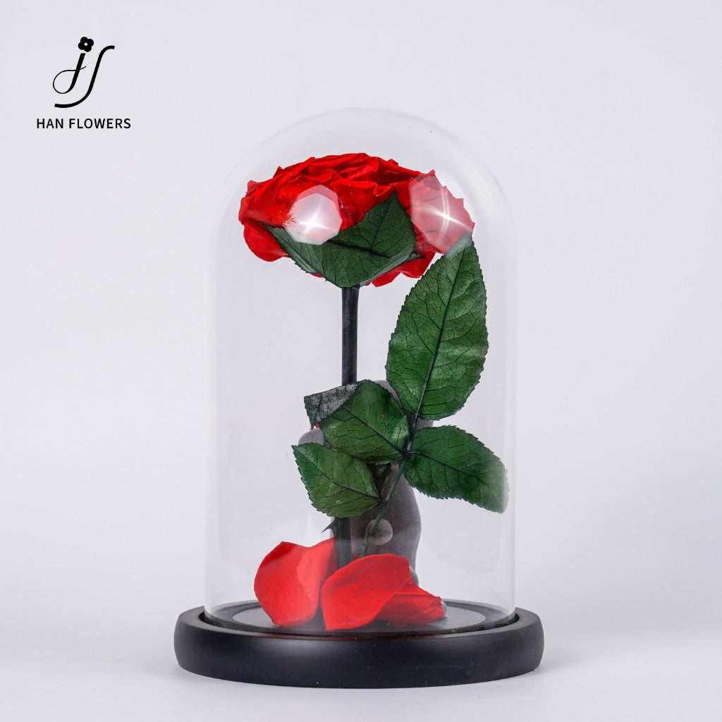 Preserved Rose Flower Bear in Glass Dome