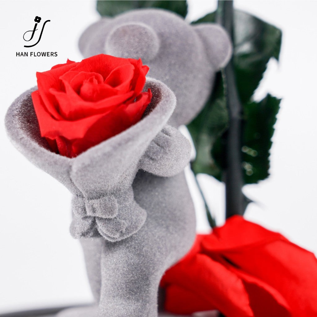 Preserved Rose Flower Bear in Glass Dome