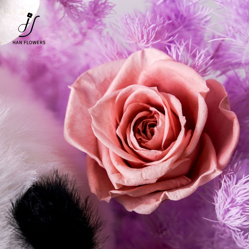 Cute Fluffy Panda DunDun (Purple)