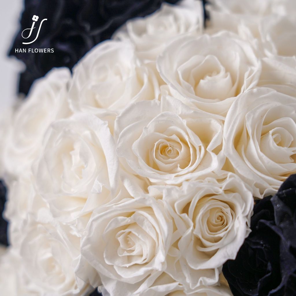 Preserved Roses Panda (Black & White)