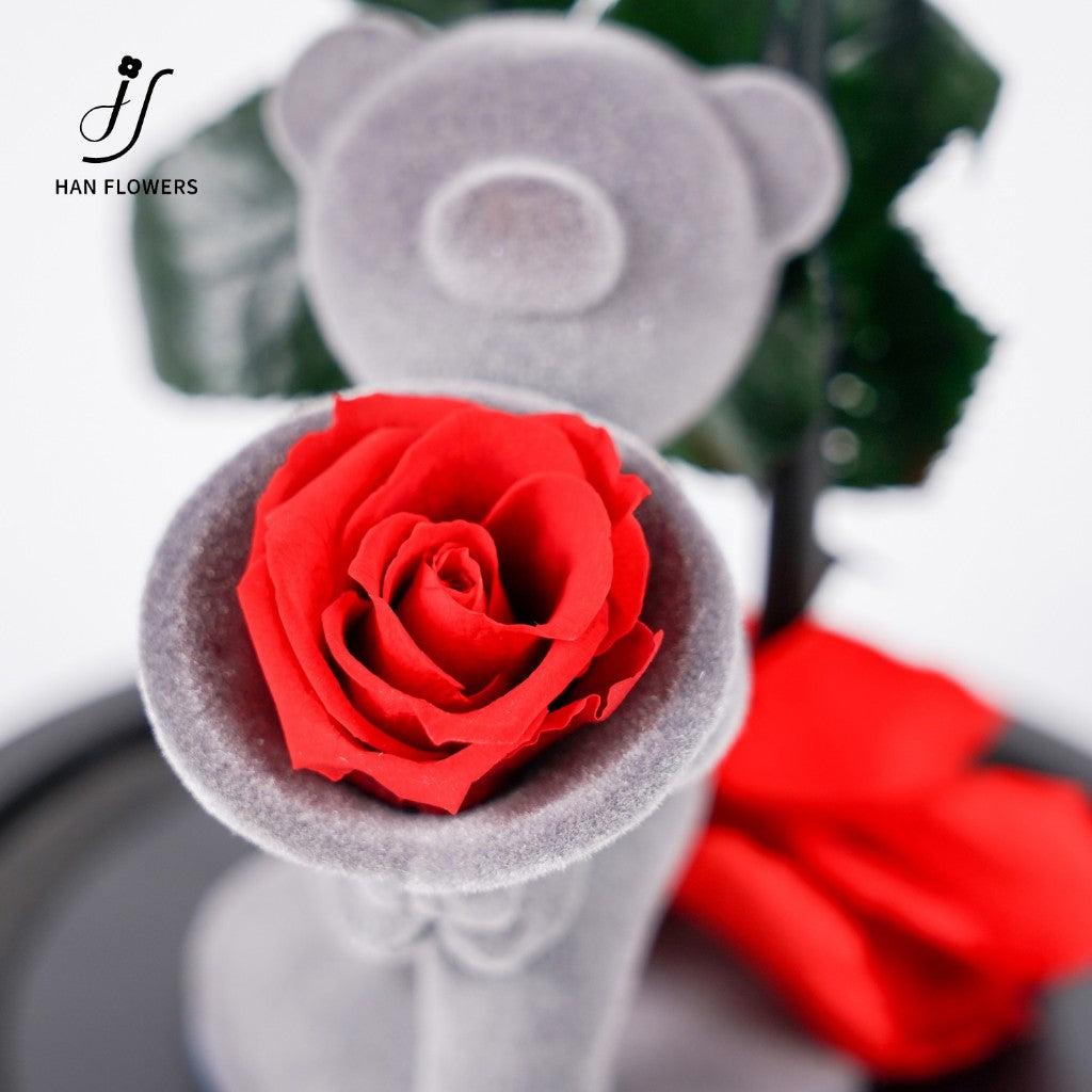 Preserved Rose Flower Bear in Glass Dome