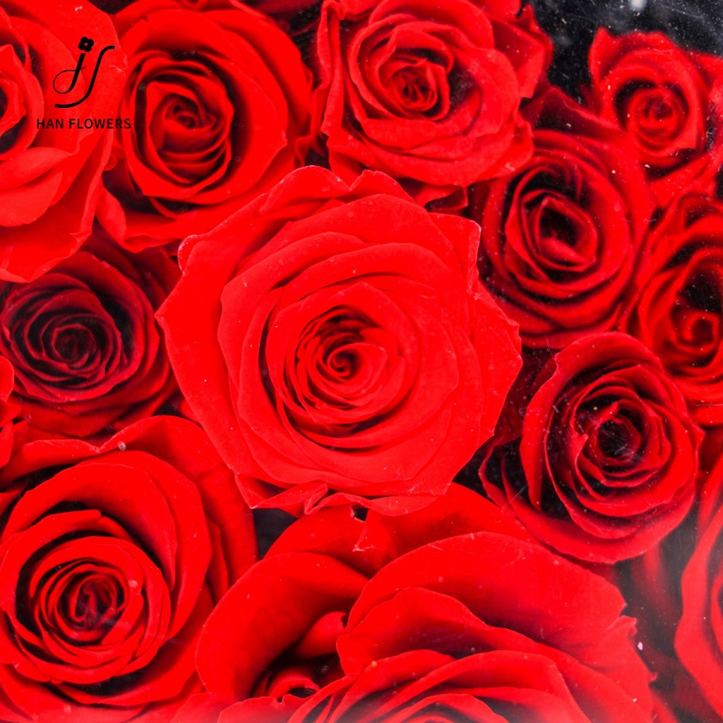 Preserved Roses Heart Shape Acrylic Box