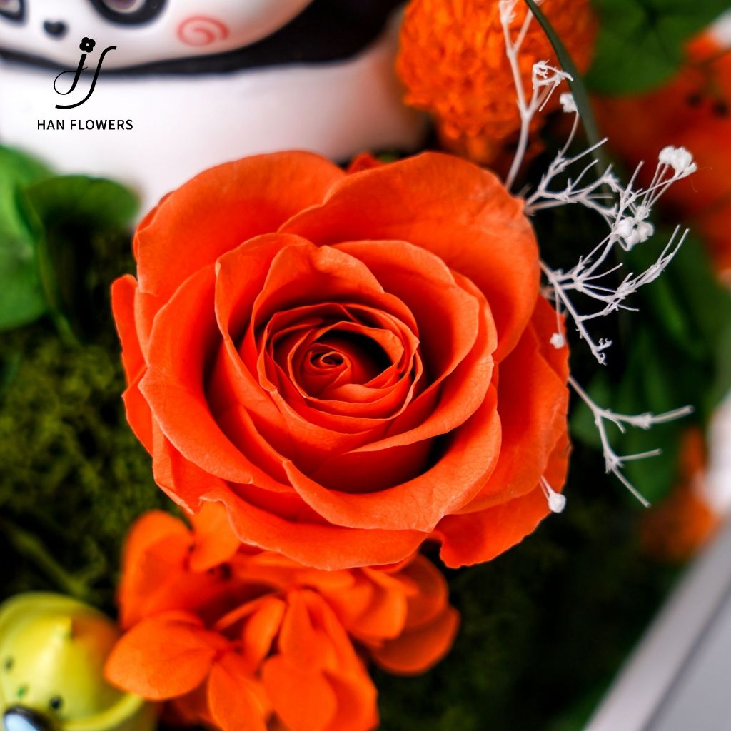Preserved Flower Happiness Panda Gift Box
