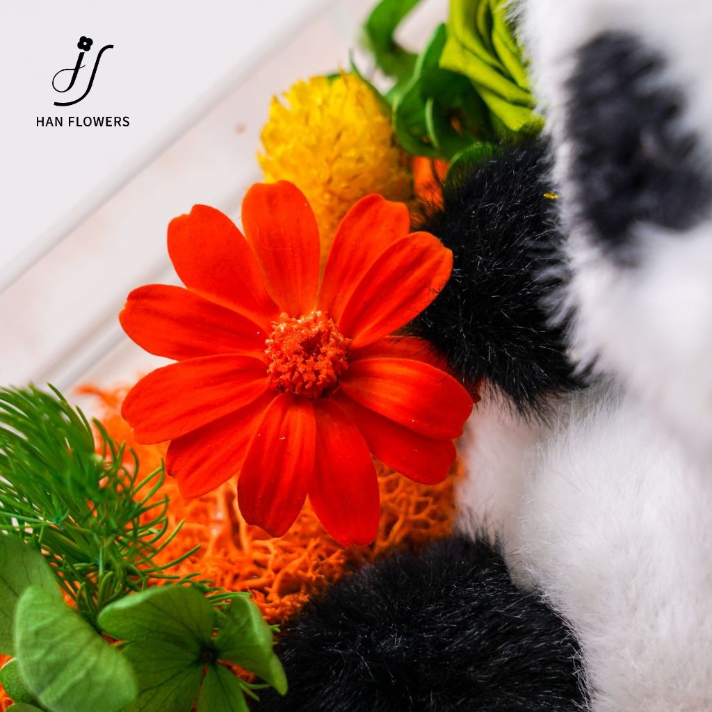 Cute Fluffy Panda DunDun (Orange)