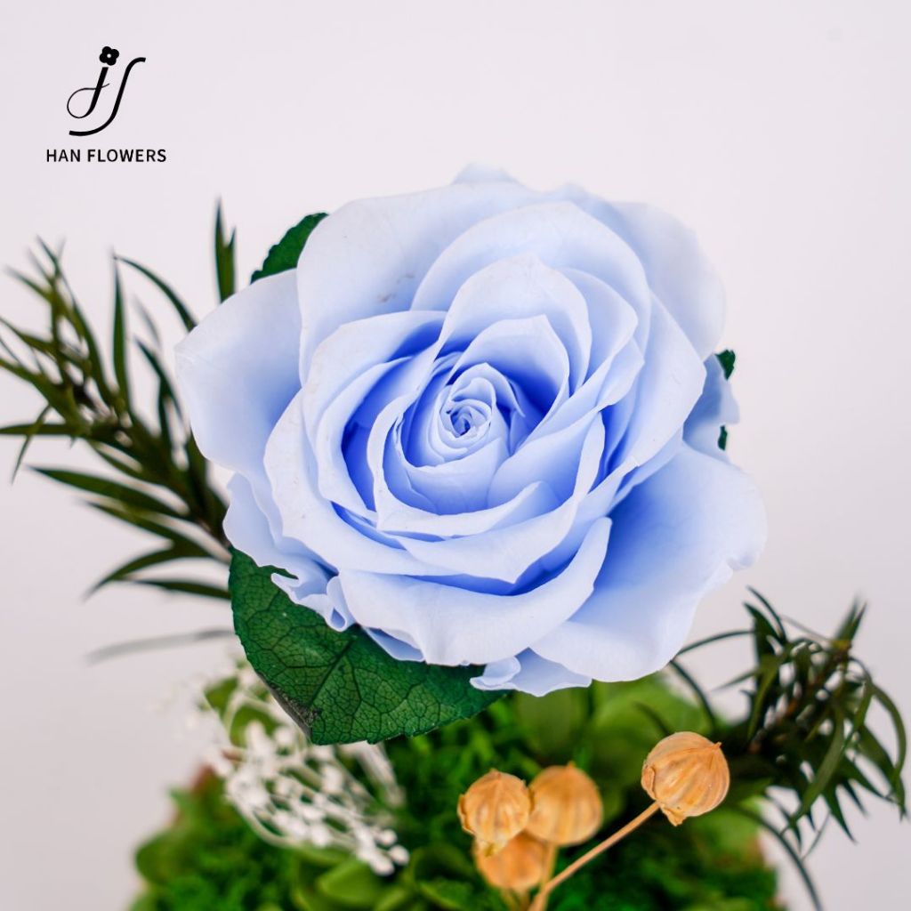 Mini Single Preserved Roses