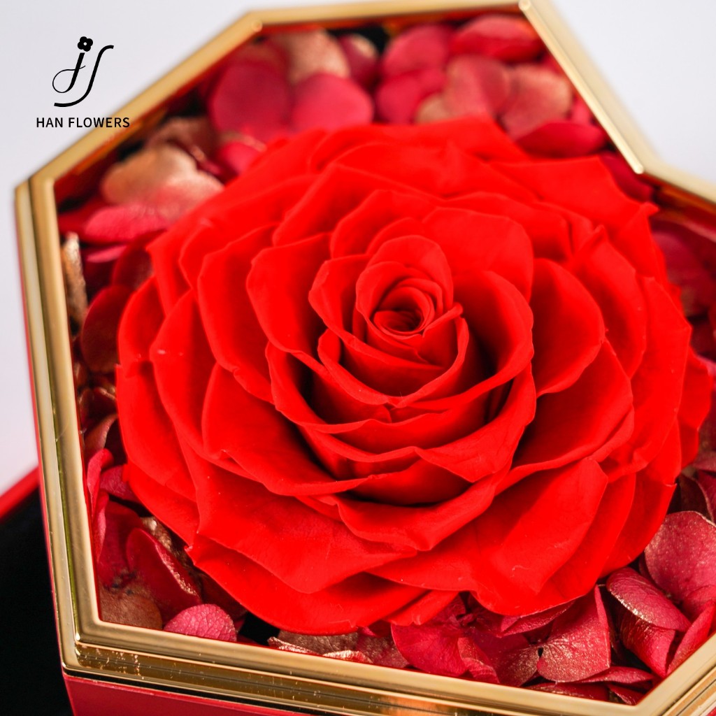 Preserved Rose with Heart Shape Jewelry Box