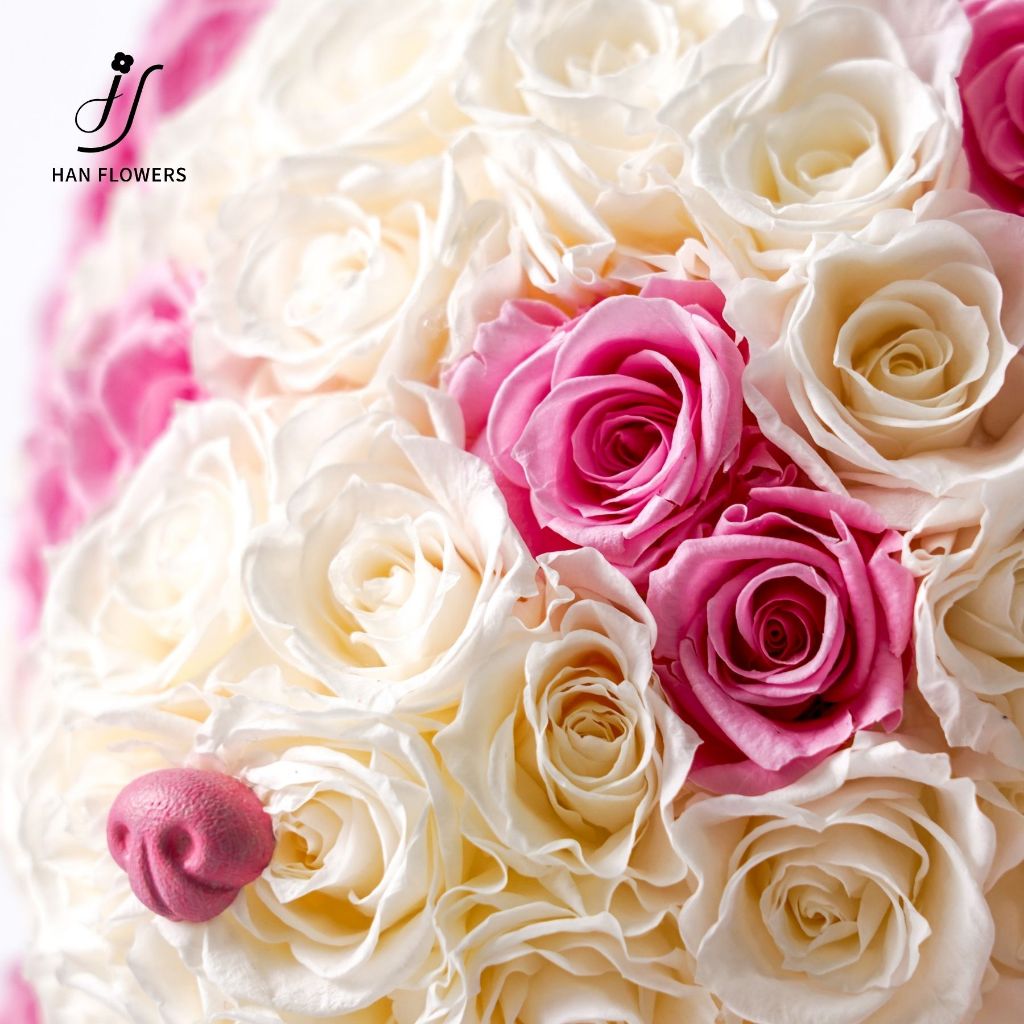 Preserved Roses Panda (Pink)