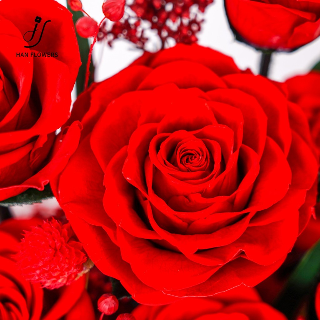 Preserved Roses Garden in Box